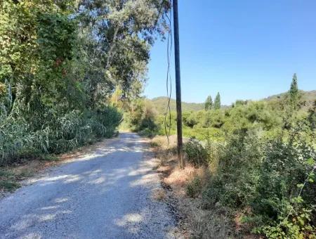 Vineyard Garden Zoning Land For Sale In Gocek Inlice