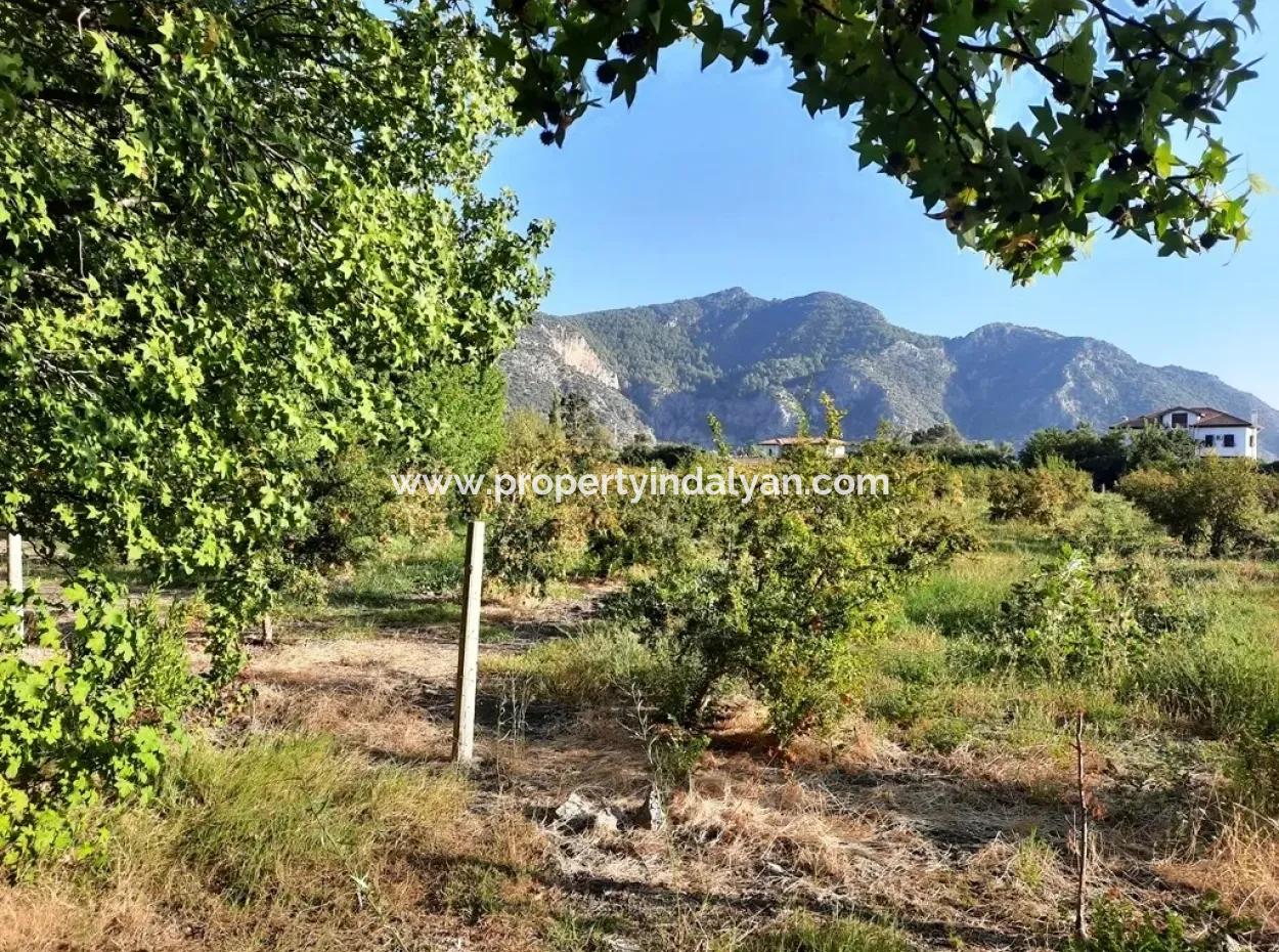 Muğla Dalyan Marmarlıda Satılık Yatırıma Uygun Arazi