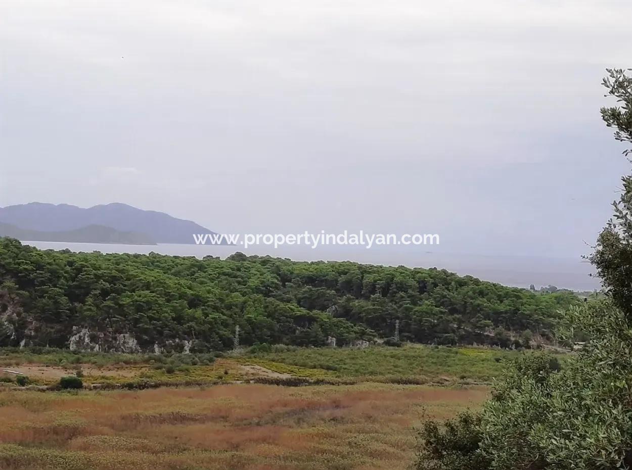 Muğla Ortaca Sarıgermede 880 M2 Full Deniz Ve Doğa Manzaralı Arsa Satılık