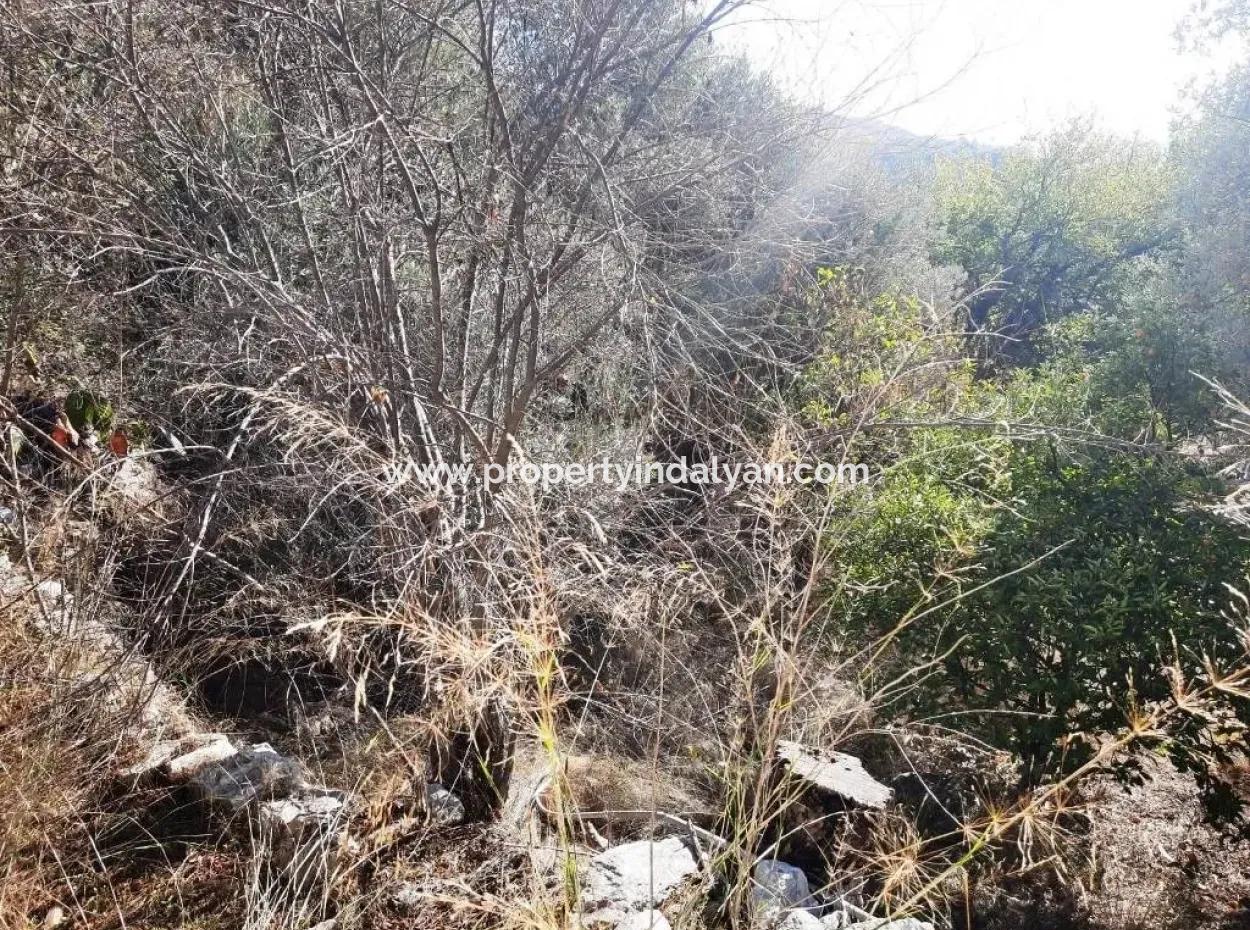 Ula Gökovada Satılık Deniz Ve Doğa Manzaralı Müstakil Köy Evi