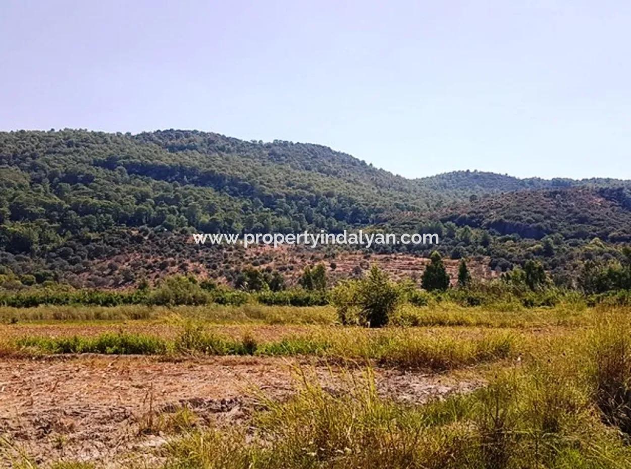Muğla Ortaca Güzelyurtta Satılık Verimli Kelepir Arazi