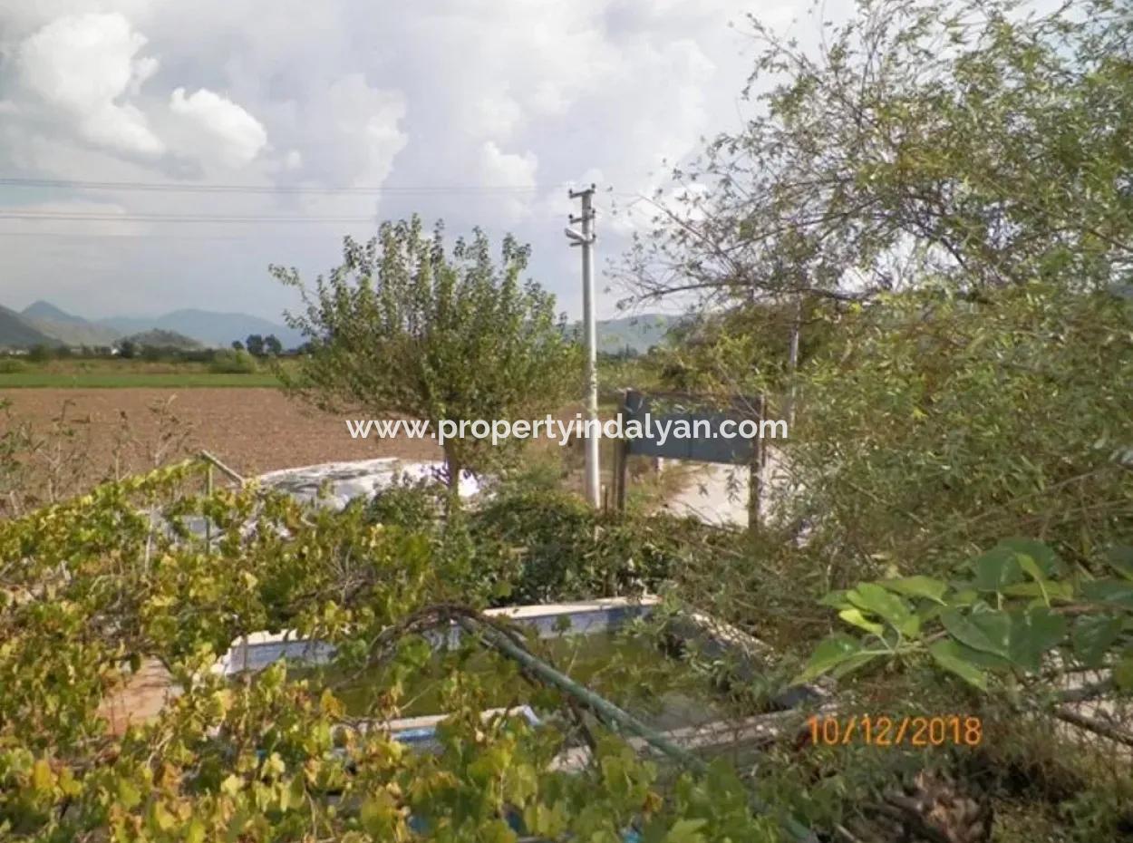 Ortaca Eskiköy De Satılık Organik Tarım Sertifikalı Çiftlik 12 000 M2