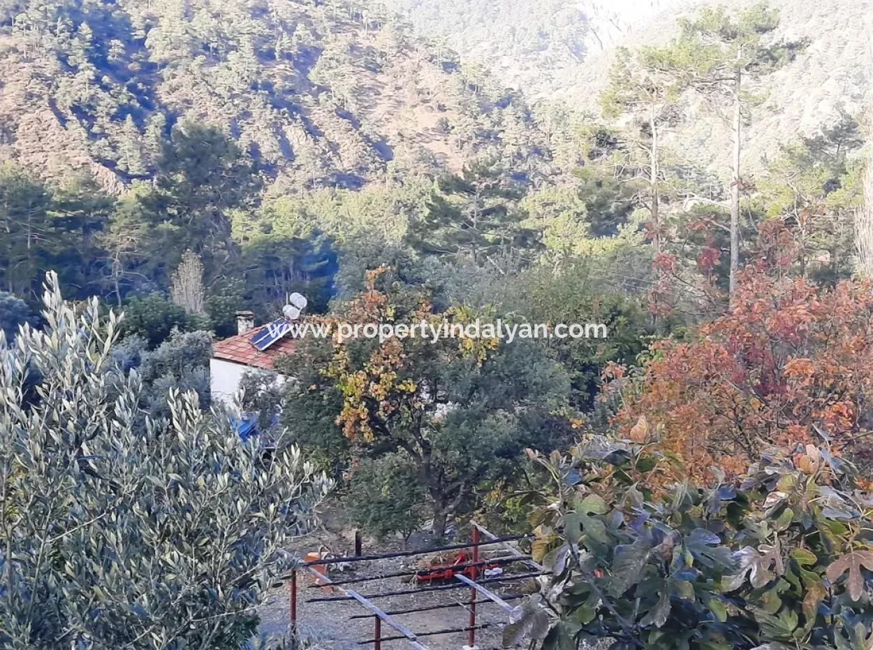 Muğla Dalaman Narlıda Satılık 1800 M2 Kelepir Arazi