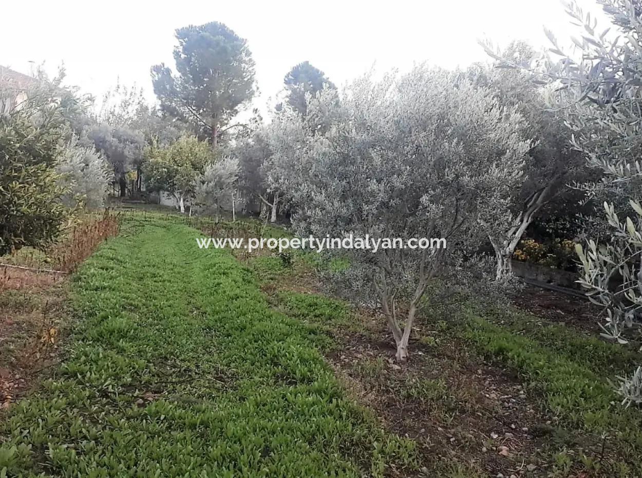Köyceğiz Toparlarda Satılık Göl Manzaralı İmarlı Arsalar