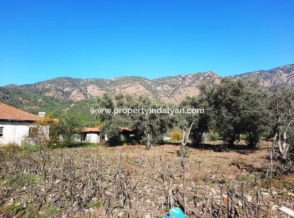 Köyceğiz Toparlarda 2.000 M2 Kelepir Müstakil İmarlı Arsa Satılık