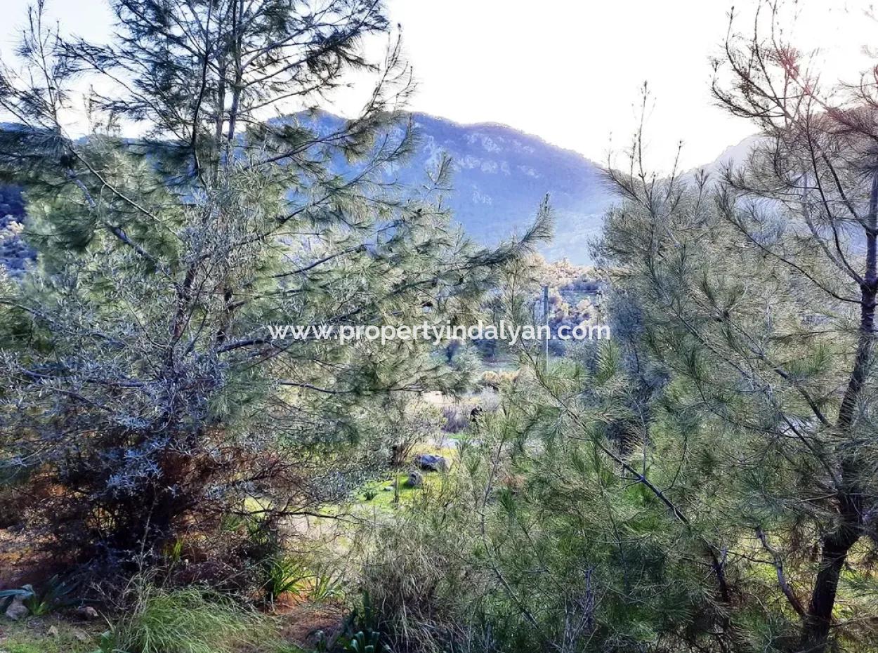 Muğla Dalyan Gökbelde 1700 M2 Doğa Manzaralı Müstakil Arazi Ve Bungalov