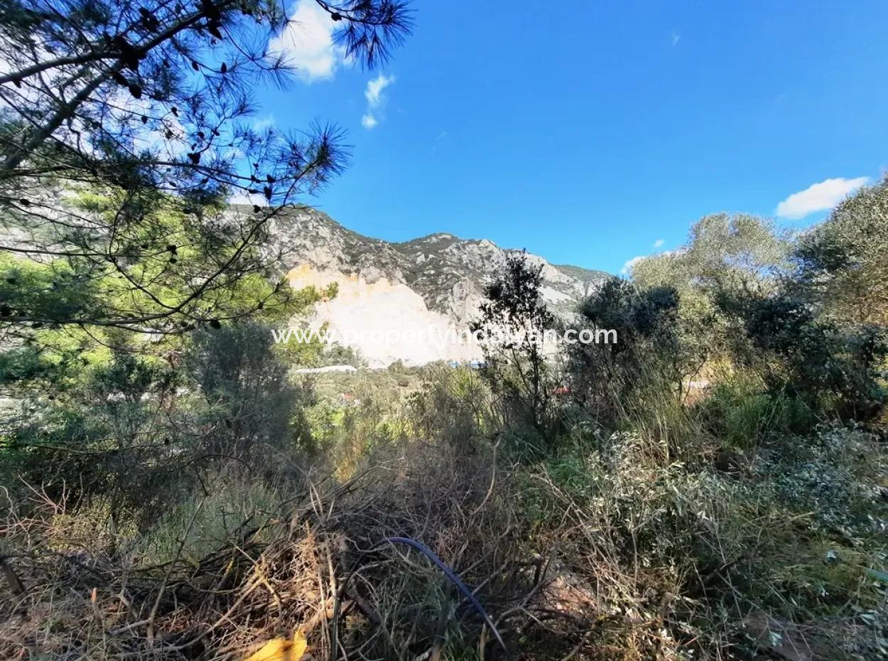 Gökovada Satılık Kelepir Yıkık Taş Köy Evi Ve Arsası