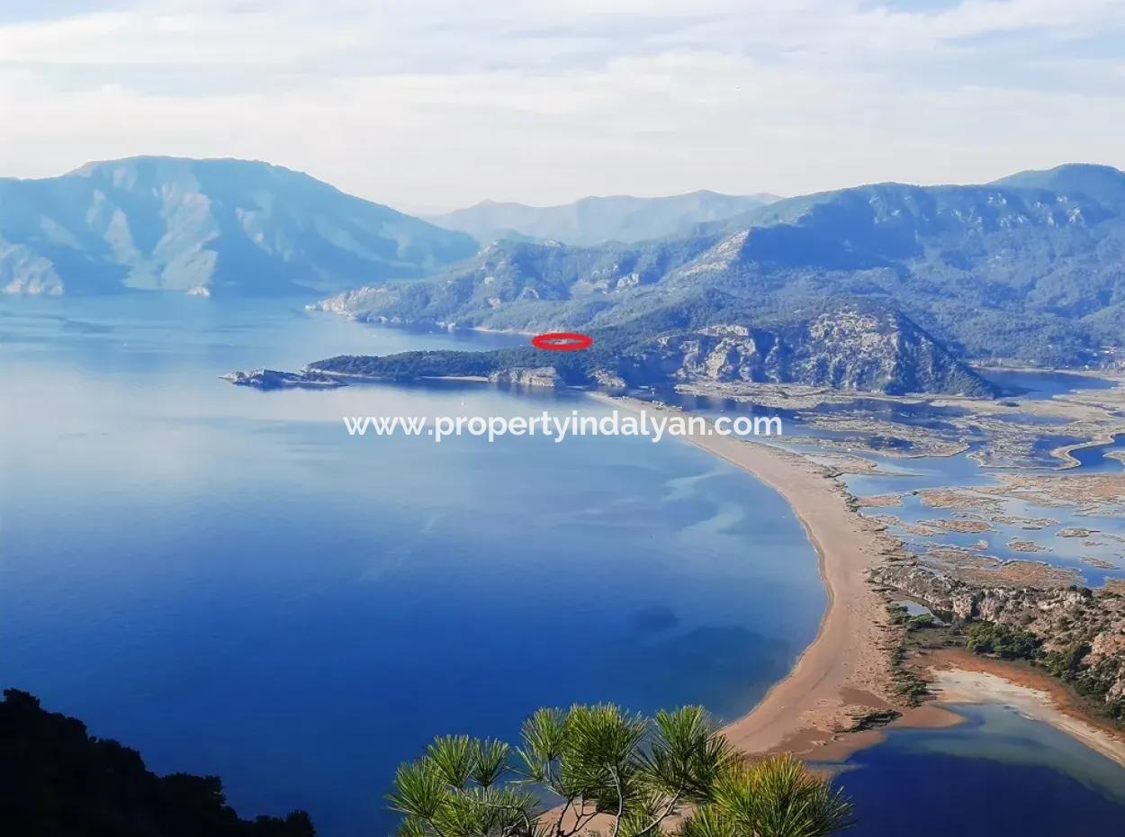 Köyceğiz Çandır Da Deniz Manzaralı  3740 M2 2B Arazisinin Kullanım Hakkı Devir Edilecek