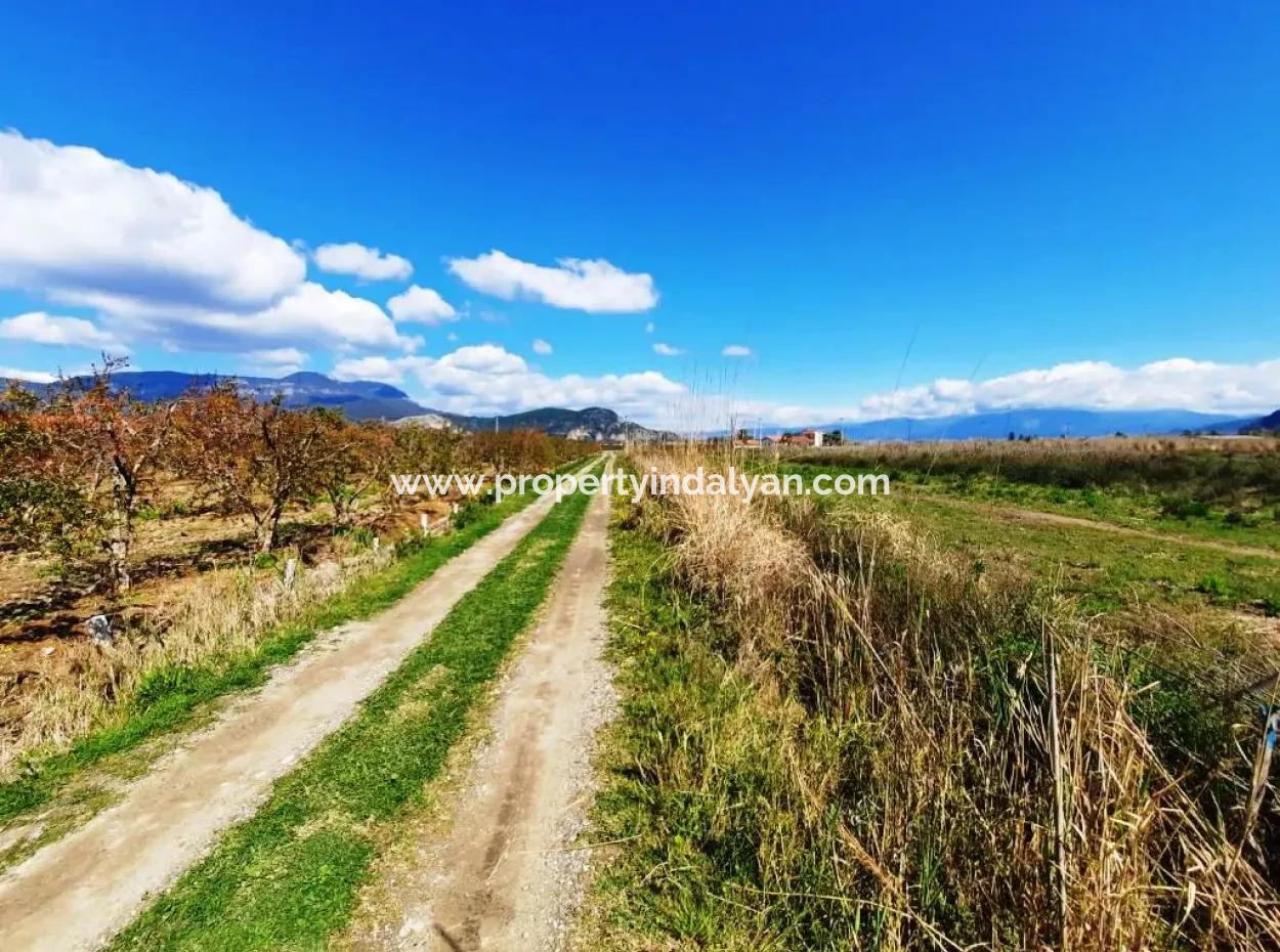Muğla Dalyanda Satılık İztuzu Plaj Yoluna Yakın 4830 M2 Arazi