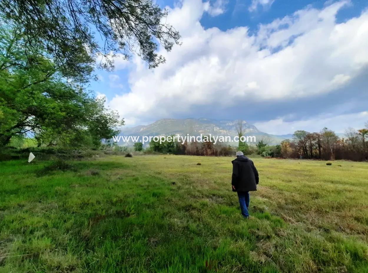 Köyceğiz Zeytinalanında Göl Manzaralı 7668 M2 Kelepir Arazi Satılık