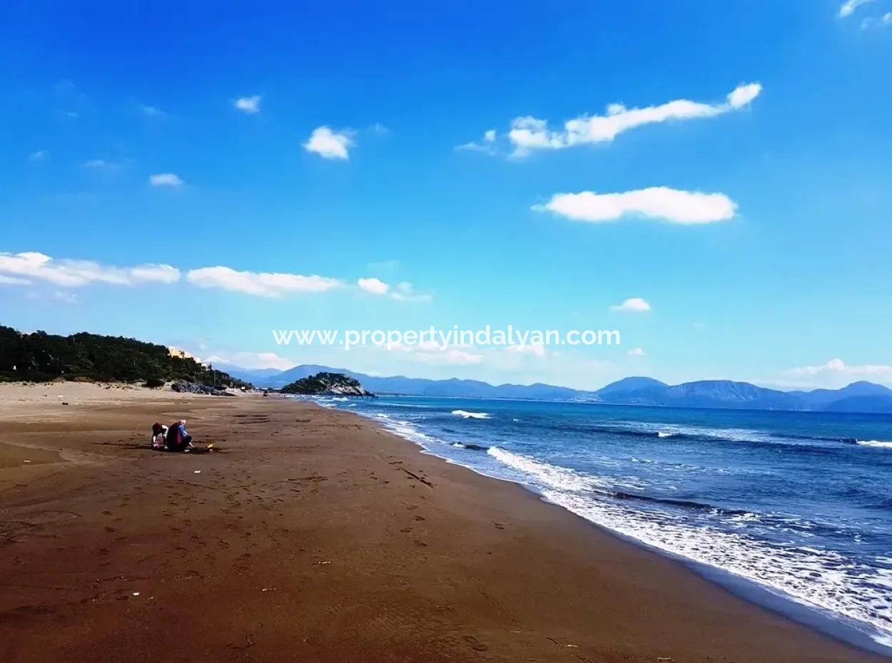 Sarıgerme De Satılık Kelepir Arsa, 2616 M2, 6 Müstakil Parsel