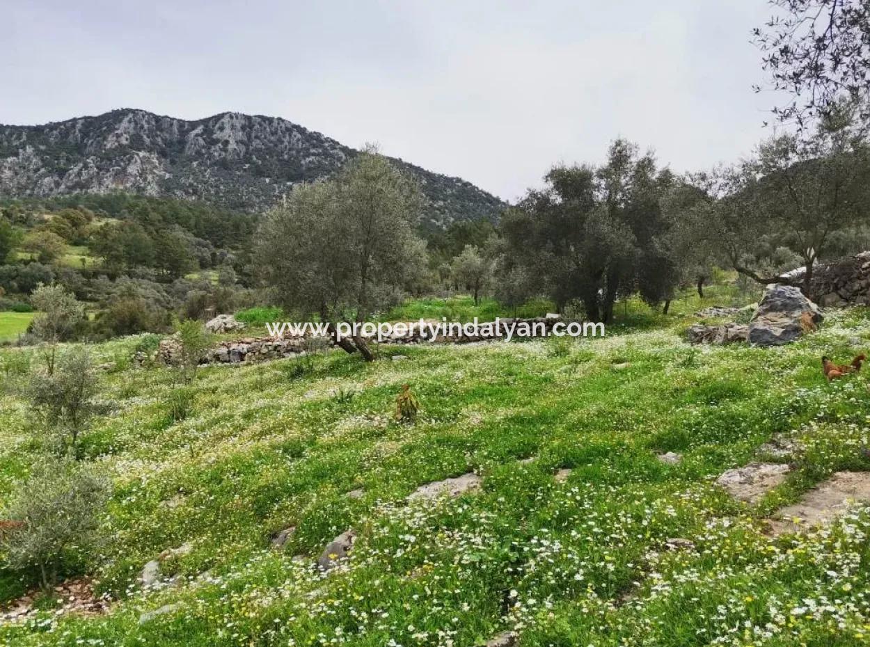 Fethiye Göcek Taşbaşında Satılık Doğa İçinde Müstakil Köy Evi