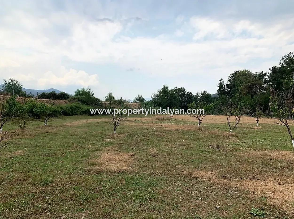 Ortaca Çaylıda Çam Ormanı İçinde Çay Kenarı 10345 M2 Arazi Ve Müstakil Ev Satılık