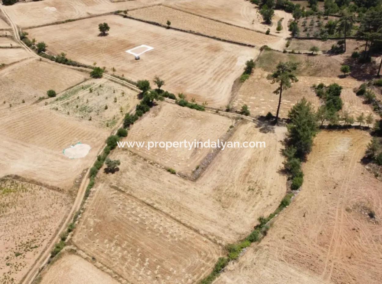 Muğla Menteşe Denizovada 1869 M2 Kelepir Tarla Satılık