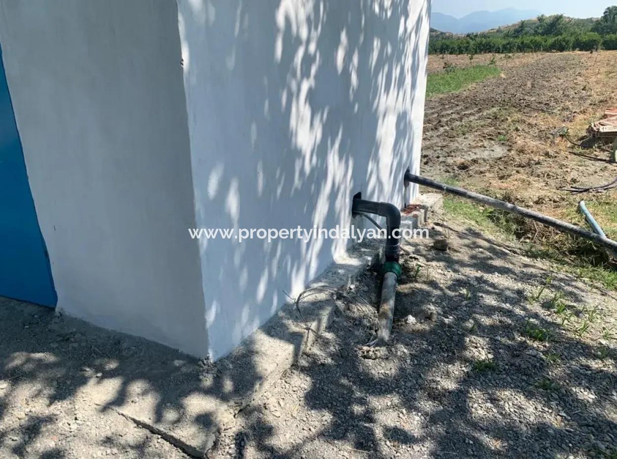 Muğla Ortaca Tepearasında 7300 M2 Limon Tarlası Satılık