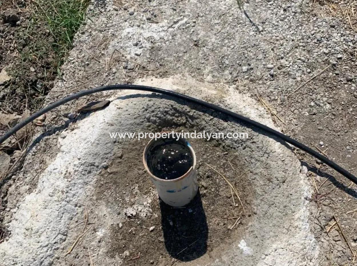 Muğla Ortaca Tepearasında 7300 M2 Limon Tarlası Satılık