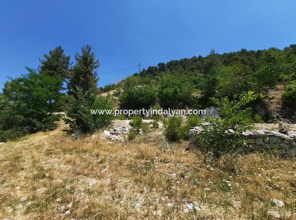 Denizli Çameli Gökçeyakada 2762 M2 Müstakil Arazi Satılık