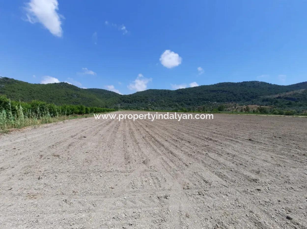 Muğla Ortaca Güzelyurtta Kiralık Verimli Arazi