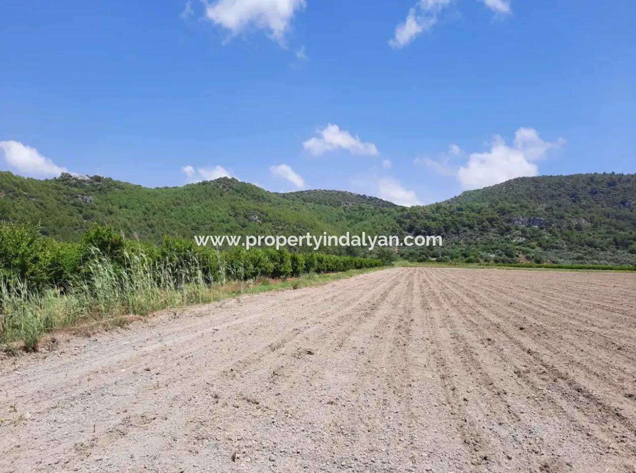 Muğla Ortaca Güzelyurtta Kiralık Verimli Arazi