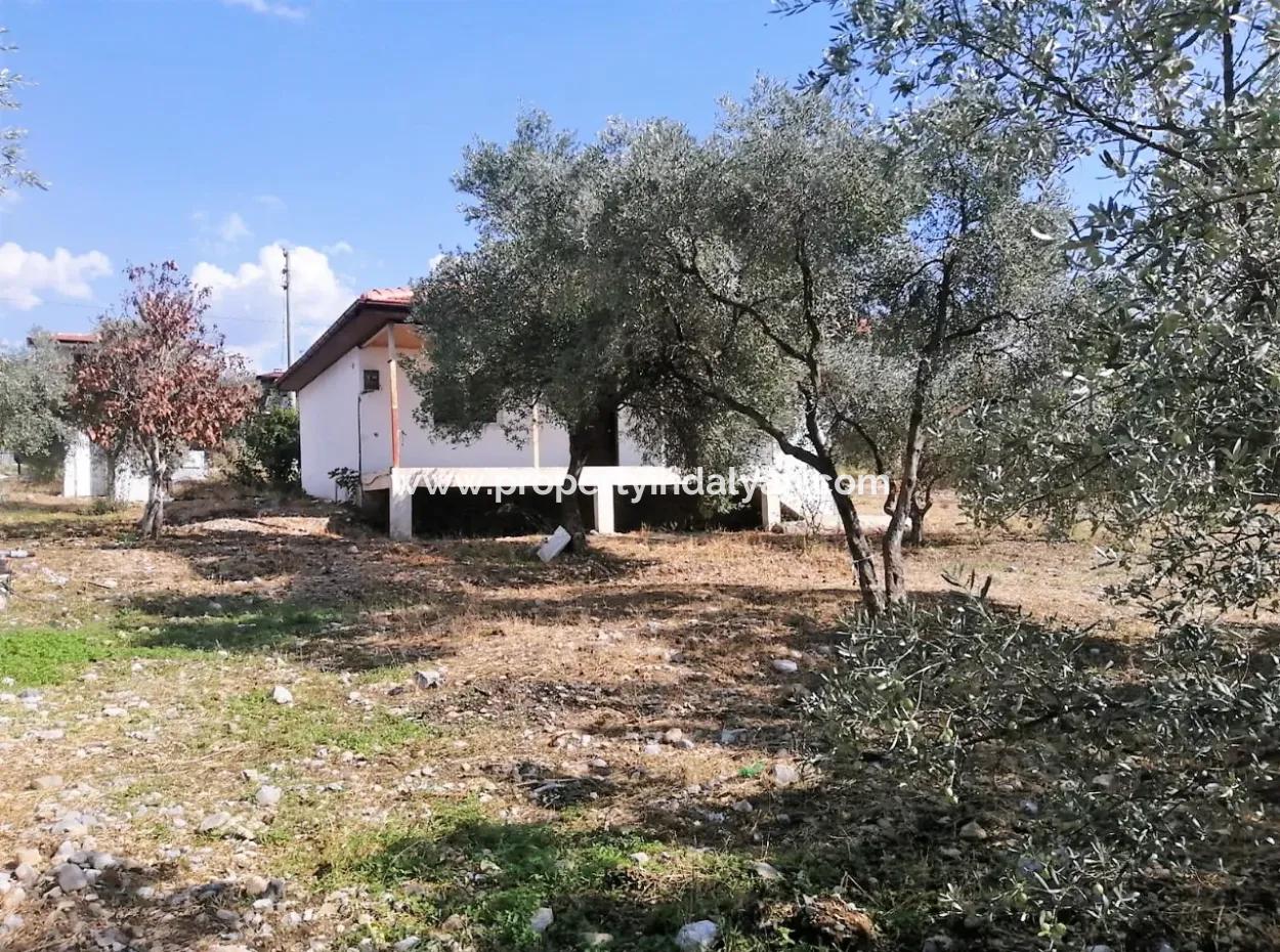 Köyceğiz Zeytinalanında Göl Manzaralı 1992 M2 Arsada 2 Adet Müstakil Ev Satılık