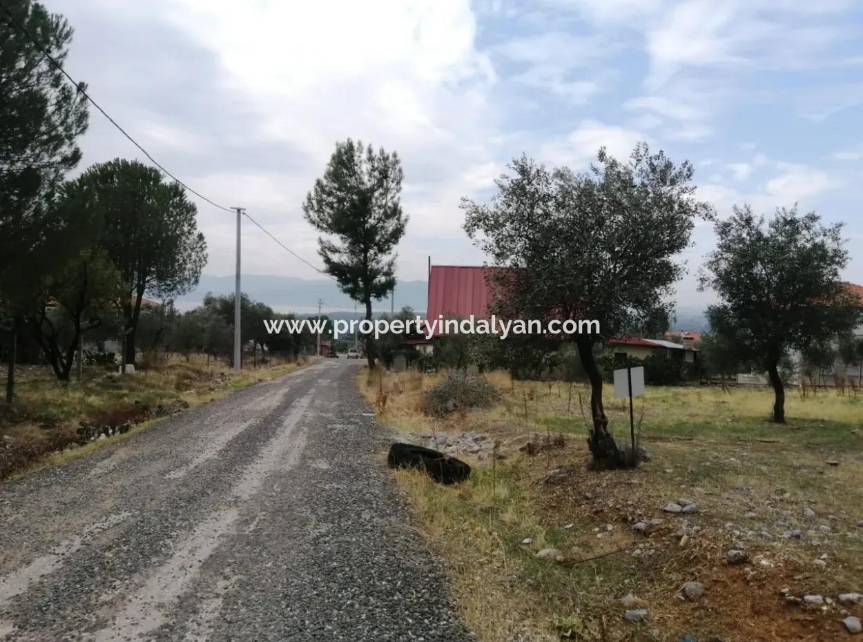 Muğla Köyceğiz Zeytinalanında Göl Manzaralı 2788 M2 Tarla Satılık