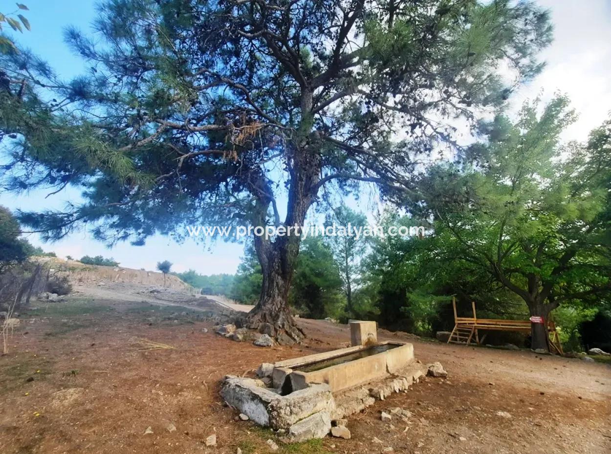 Muğla Dalyan Gökbelde 320 M2 Kelepir Arazi Satılık