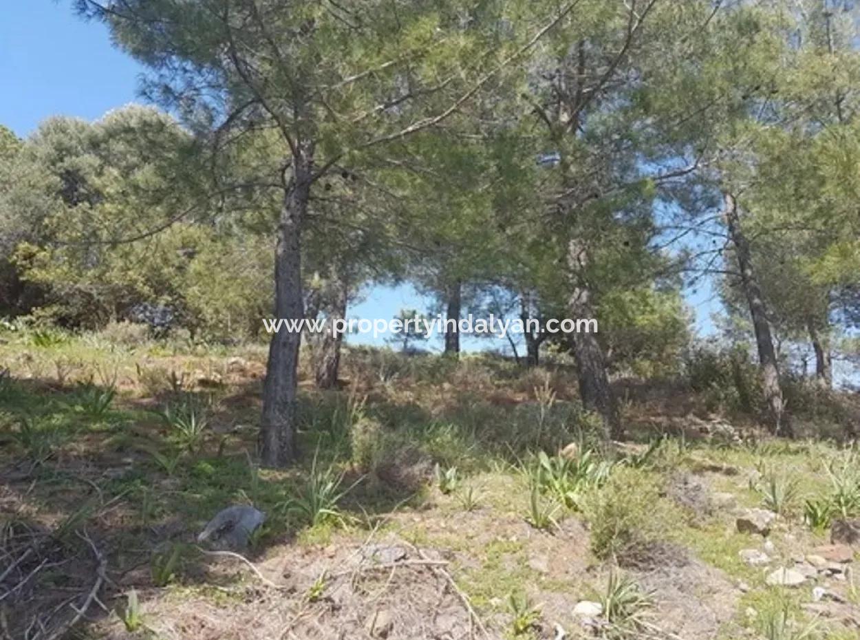 Ortaca Sarıgermede Satılık Kelepir Deniz Manzaralı Arsa