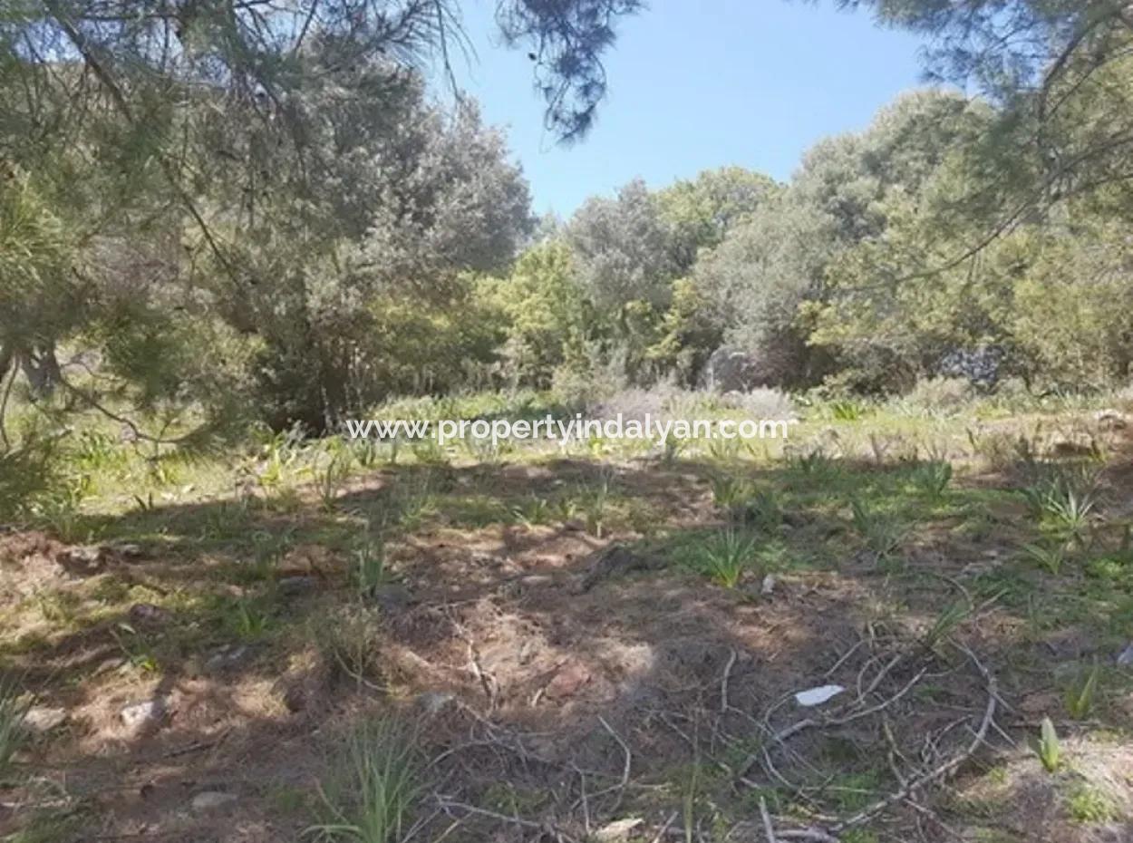 Ortaca Sarıgermede Satılık Kelepir Deniz Manzaralı Arsa