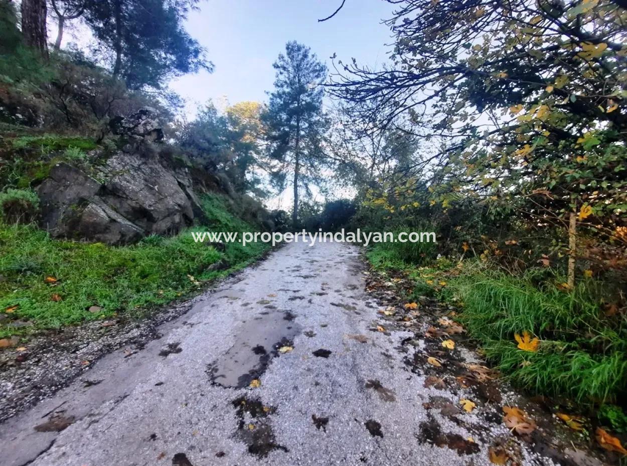 Ortaca Kemaliyede Satılık 7320 M2 Kelepir Limon Bahçesi