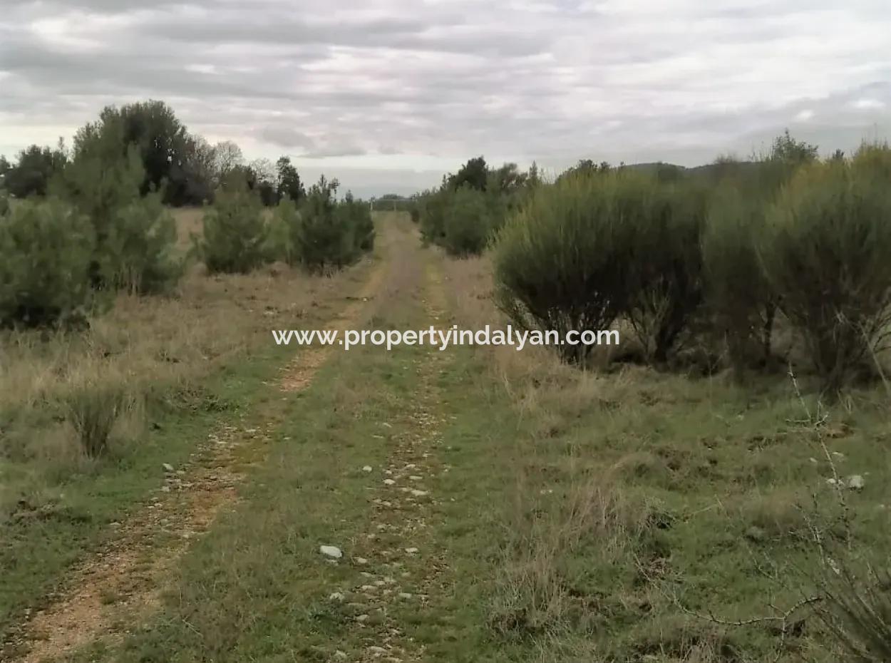 Muğla Dalaman Gürleyikte Satılık 30949 M2 Verimli Tarla