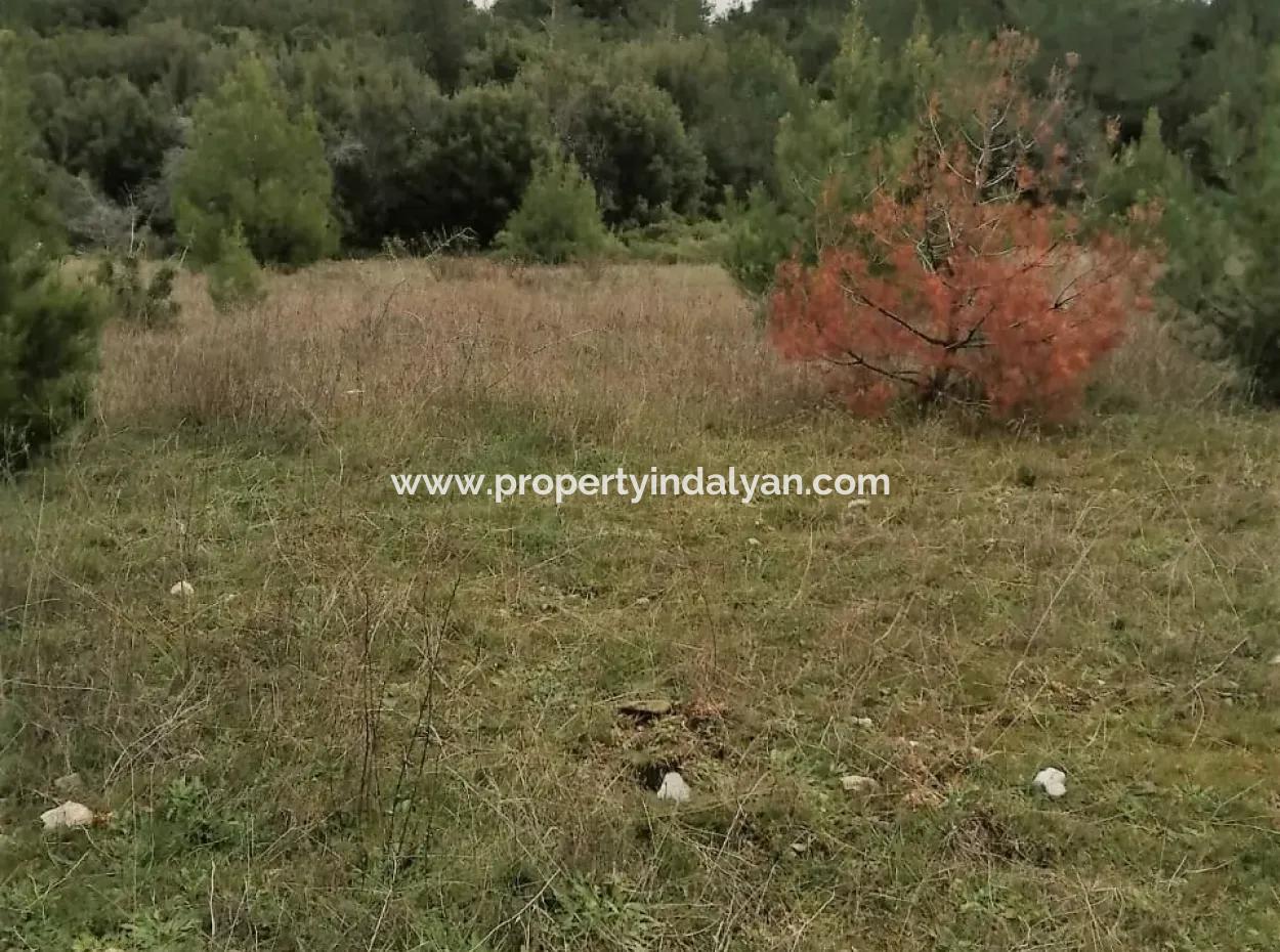 Muğla Dalaman Gürleyikte Satılık 30949 M2 Verimli Tarla