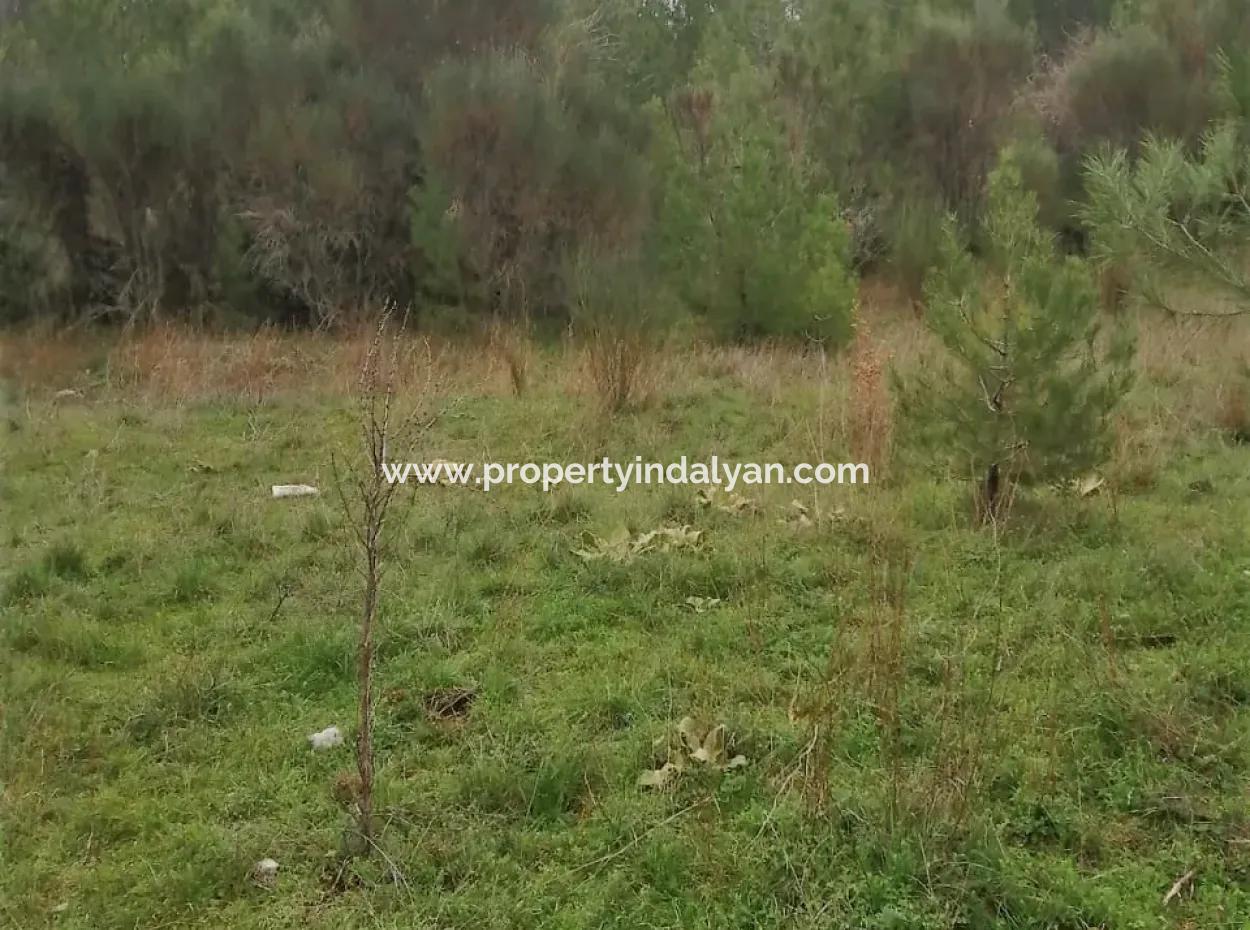 Muğla Dalaman Gürleyikte Satılık 30949 M2 Verimli Tarla