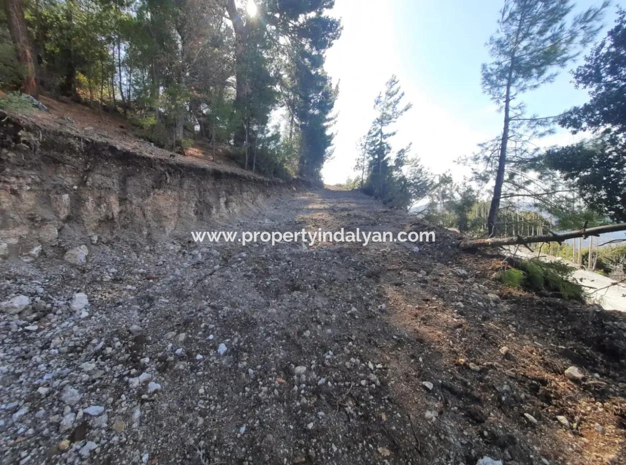 Çameli Gökçeyakada Satılık Kelepir 1400 M2 Müstakil Arazi