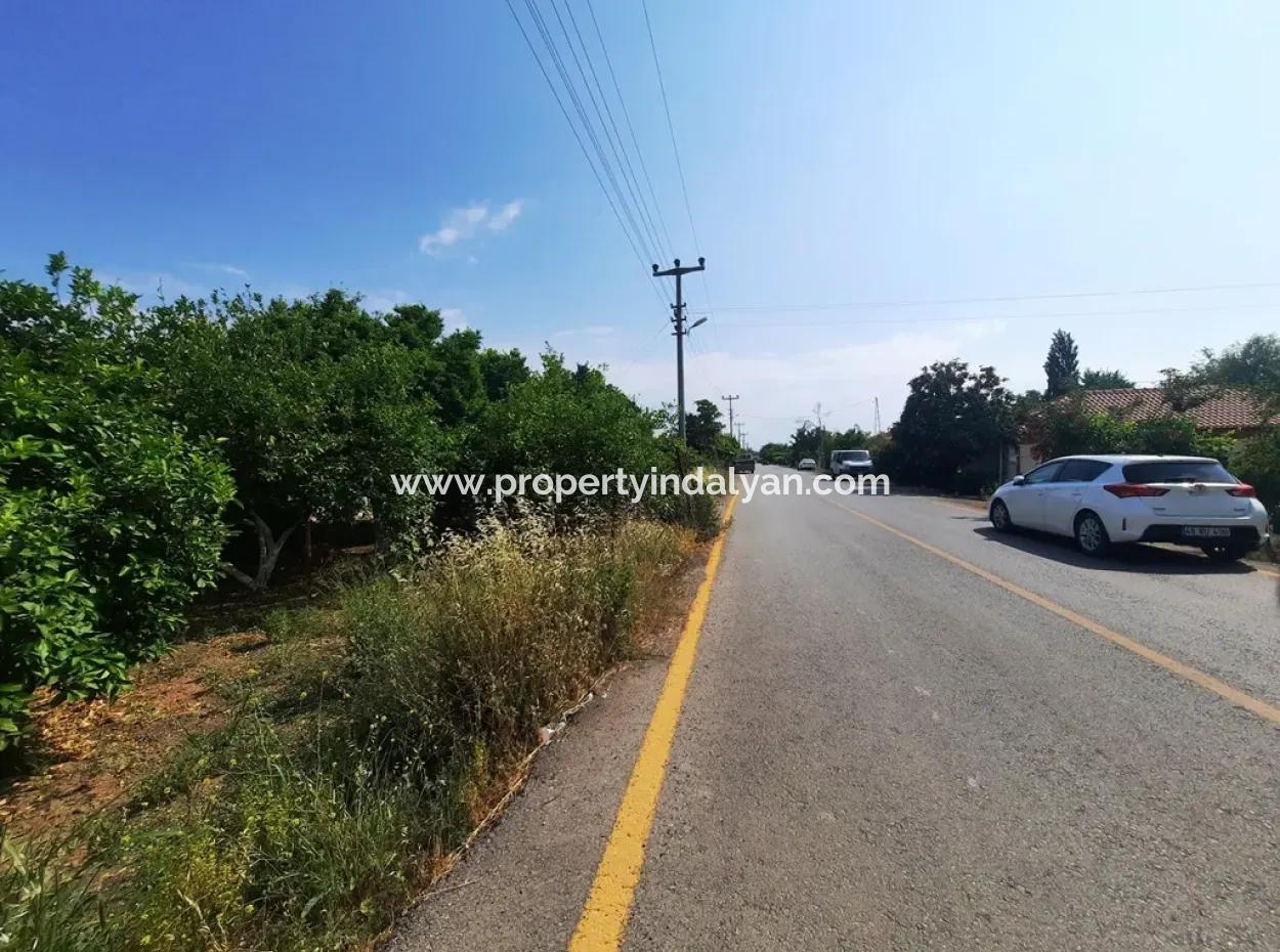 Ortaca Akıncıda Satılık 2500 M2 Arsada Köy Evi