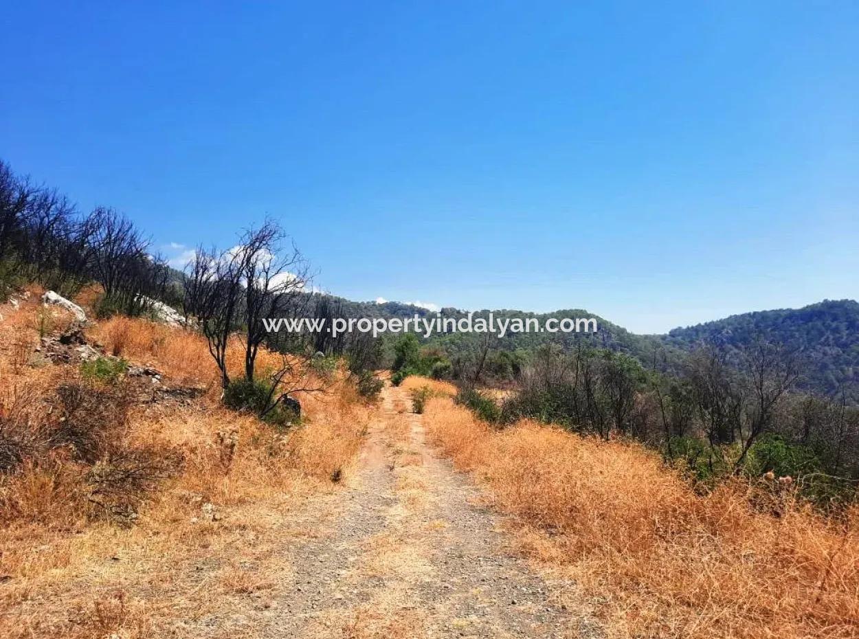 Muğla Dalamanda 42.432M2 Müstakil Tapulu Arazi Satılık