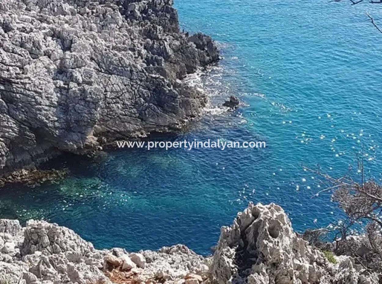 Dalyan, Gökbel De Denize Sıfır Müstakil 1 300 M2 Zeytinlik Satılık