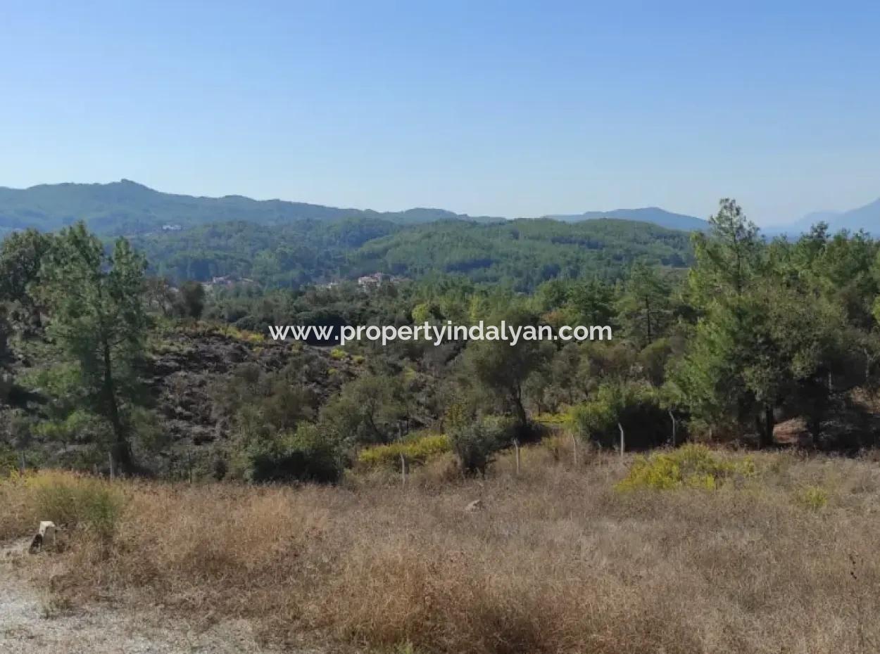 Ula Esentepede 4 200 M2 Deniz Manzaralı Arazi Satılık