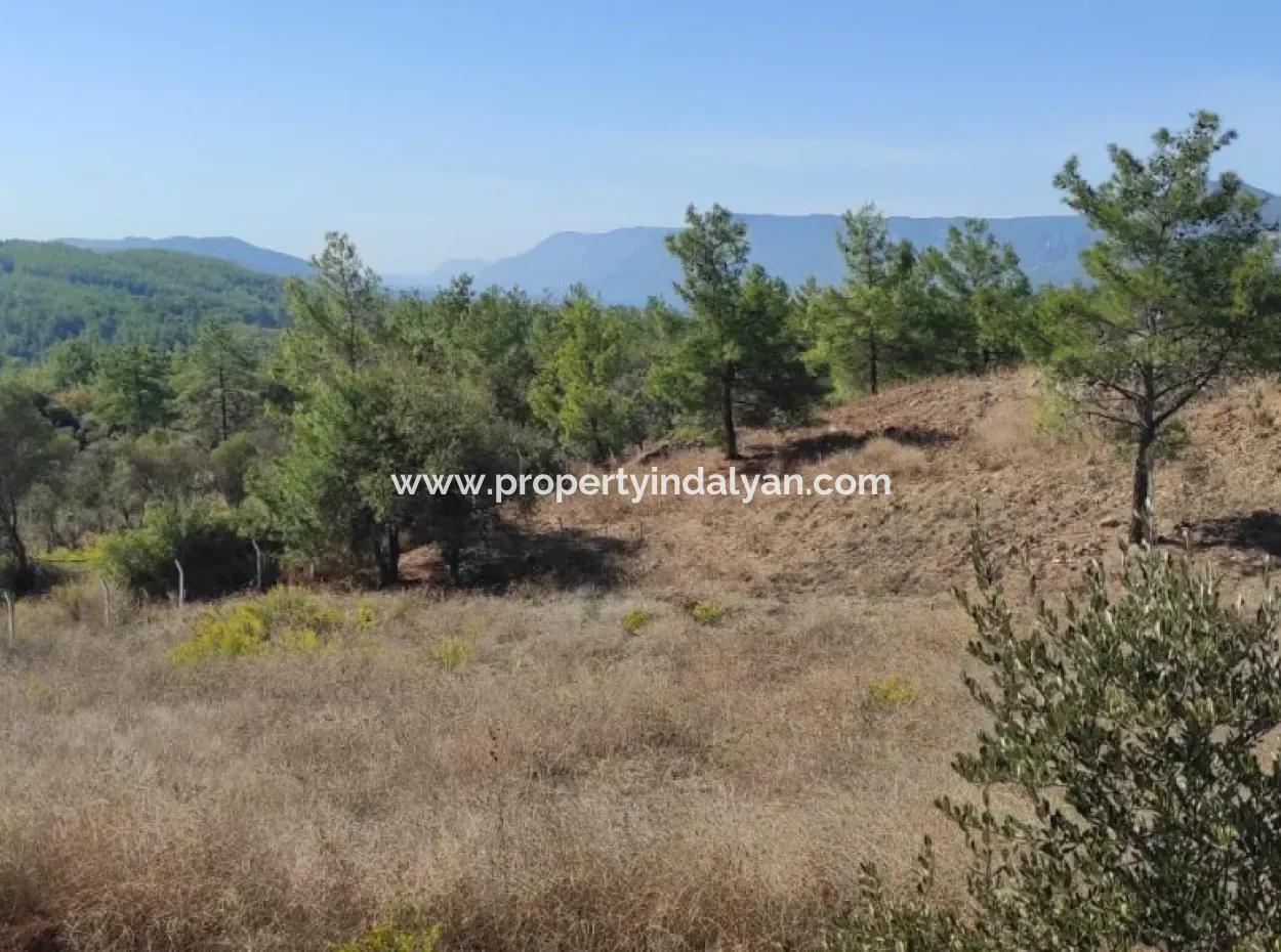 Ula Esentepede 4 200 M2 Deniz Manzaralı Arazi Satılık