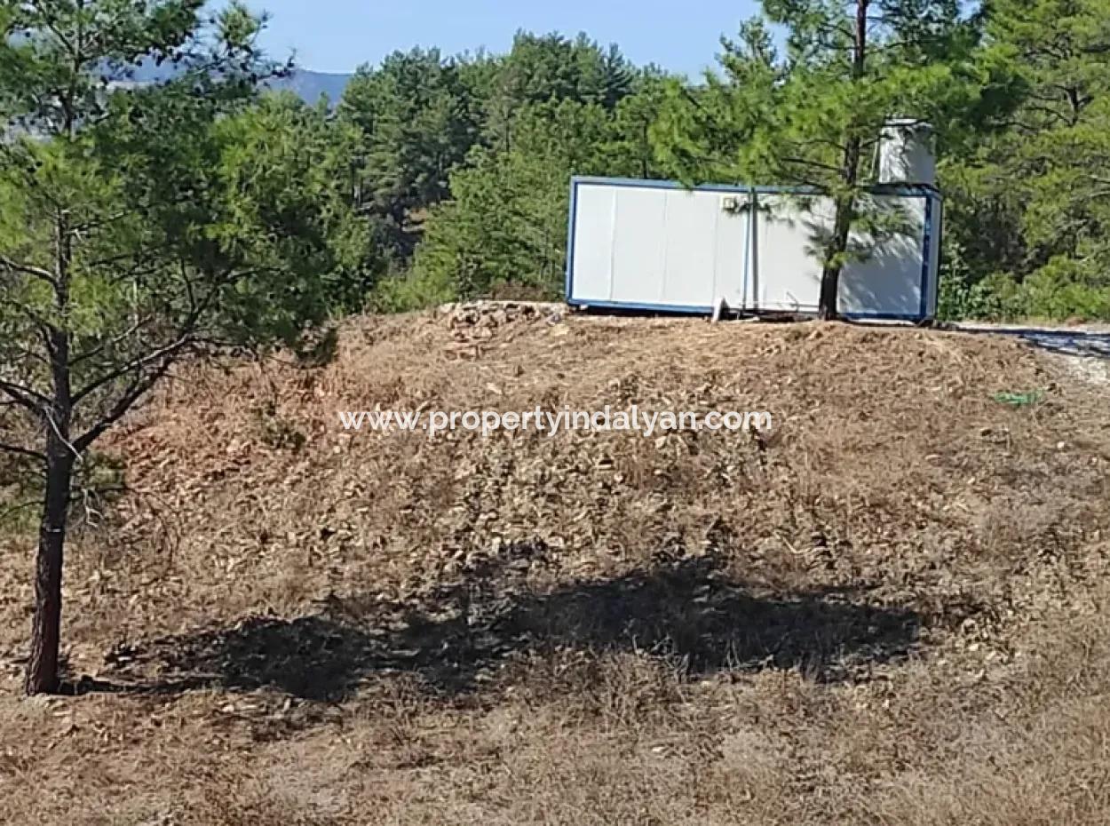 Ula Esentepede 4 200 M2 Deniz Manzaralı Arazi Satılık