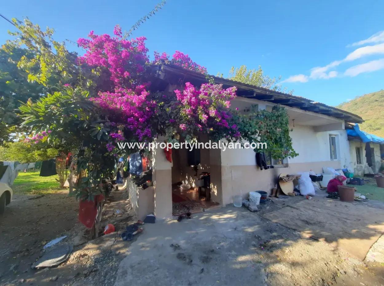 Ortaca Ekşiliyurt Da Yatırıma Uygun 11 850 M2  Limon Bahçesi Ve 4 Bina Satılık