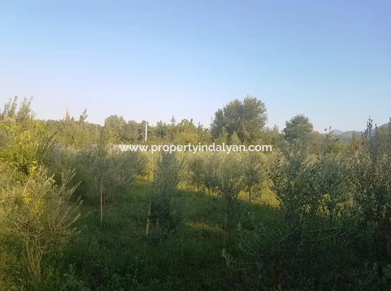 Beyobasında Satılık Kelepir Arsa