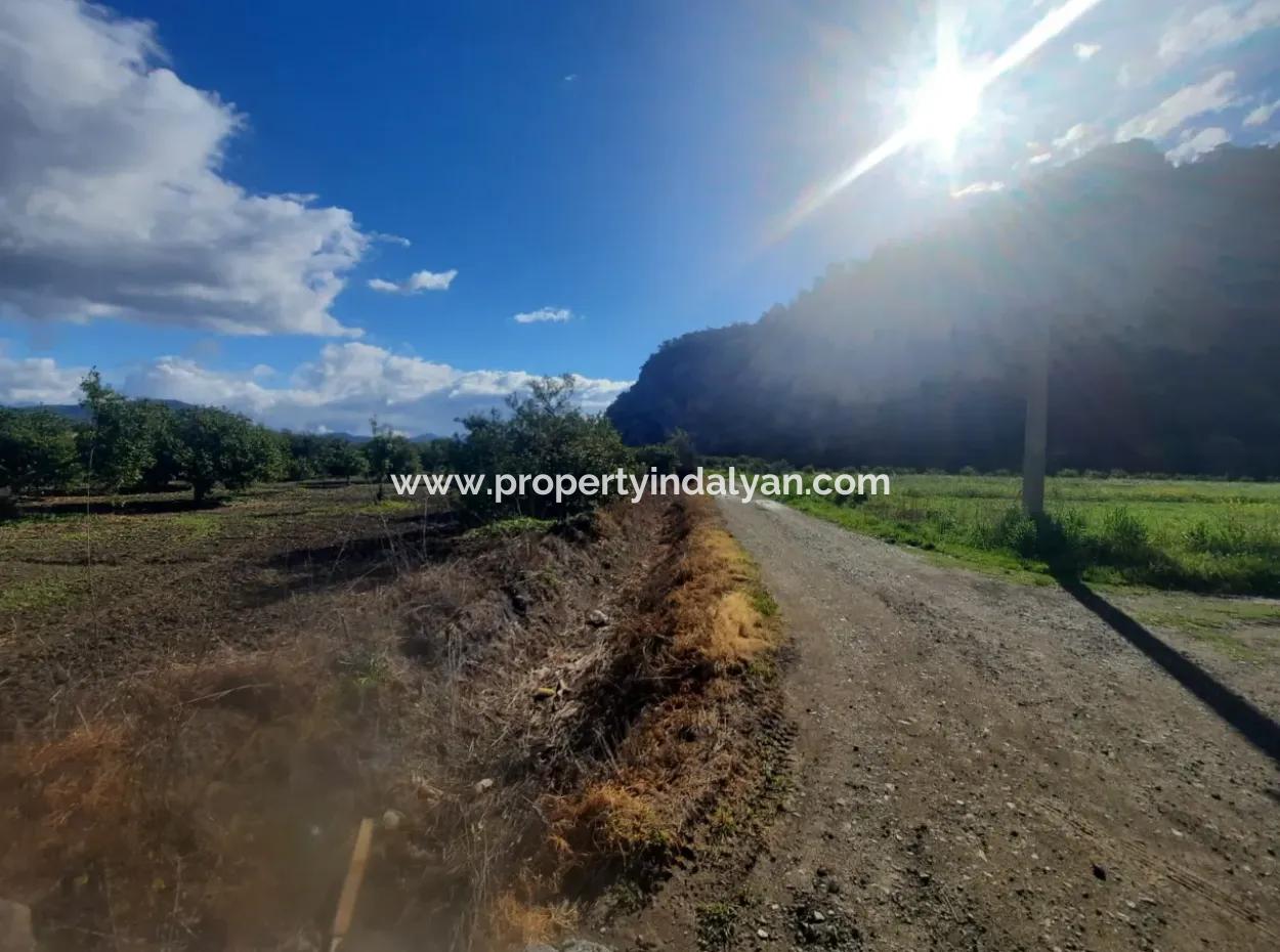 Muğla Ortaca Okçular Marmarlı Da 20.000 M2, İmar Planında Arazi Satılık