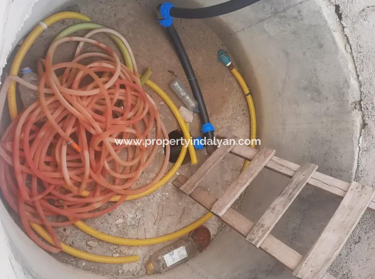 Çameli Cumaalanında  Kiralık 6 230 M2 Verimli Arazi