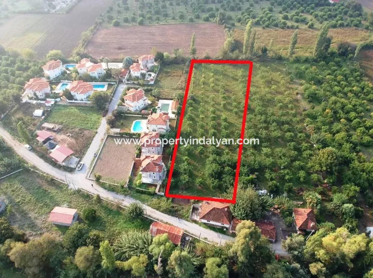 Muğla Ortaca Marmarlıda 4.000 M2  Limon Bahçesi 5 Yıllık Kiralık