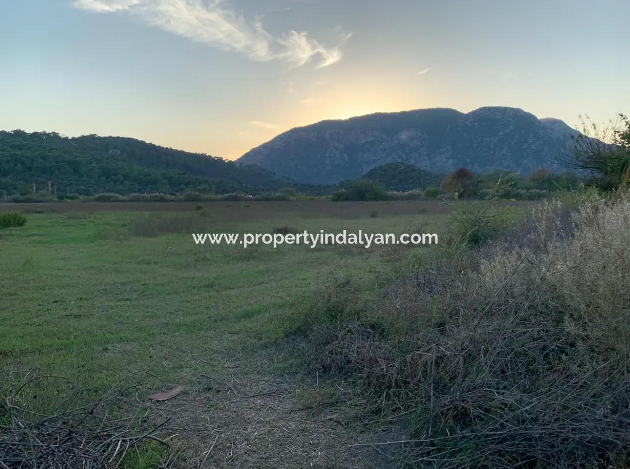 Ortaca Güzelyurt Da 26.200 M2 Müstakil Tarla Ve 3.000 M2 Satılık