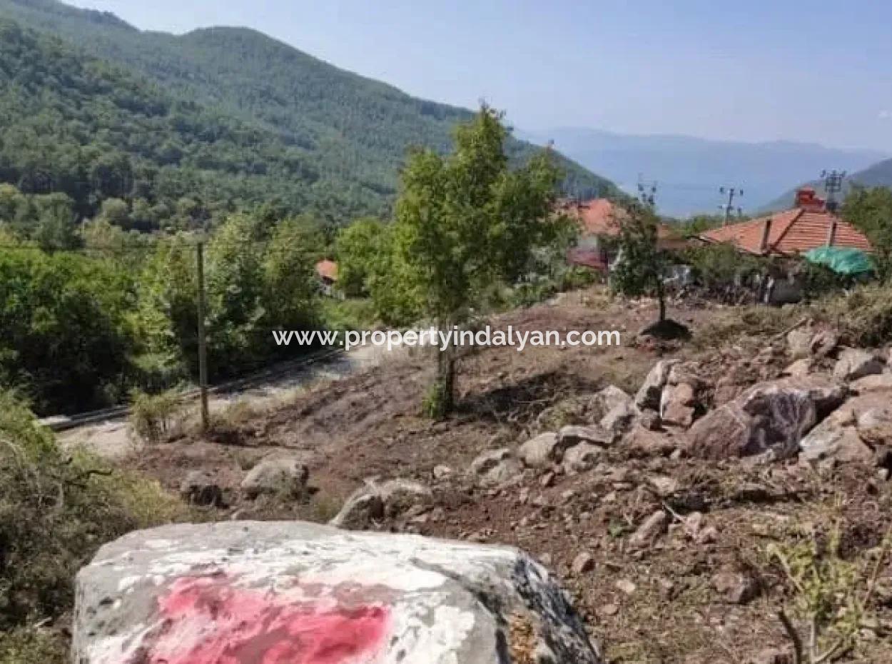 Muğla Köyceğiz Yayla Mah 570 M2 Arsa Satılık