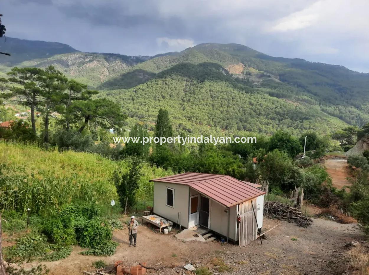 Muğla Köyceğiz Ağla - Yaylada 535 M2 Arsa Ve Tiny House Ev Satılık