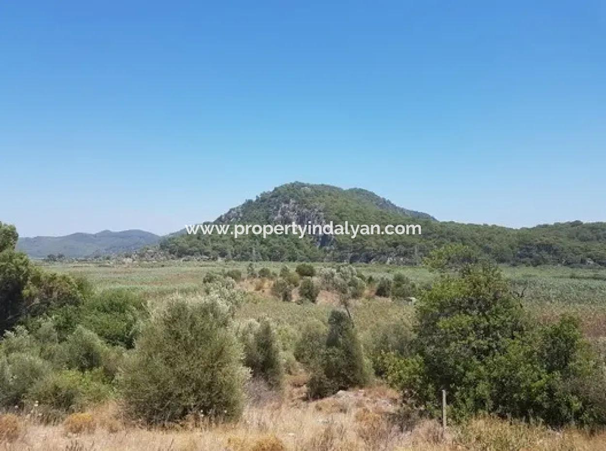 Muğla Ortaca Sarıgerme’de 14.300 M² Kiralık Arazi – Turizm Ve Ticari Yatırıma Uygun