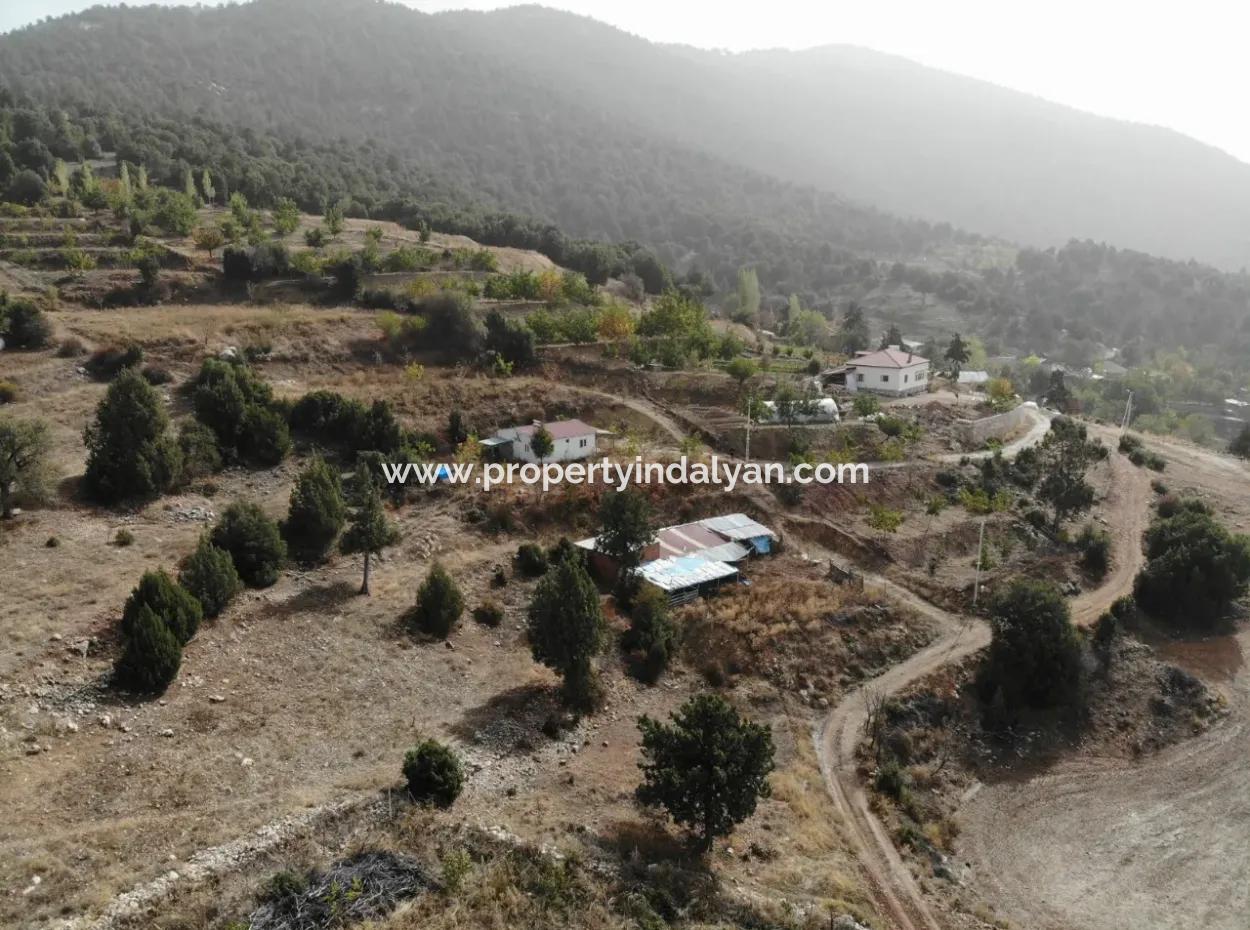 Çameli Kızılyaka Da 5 000 M2 Arazide 2+1 Müstakil Ev, Ve Ahır Kiralık