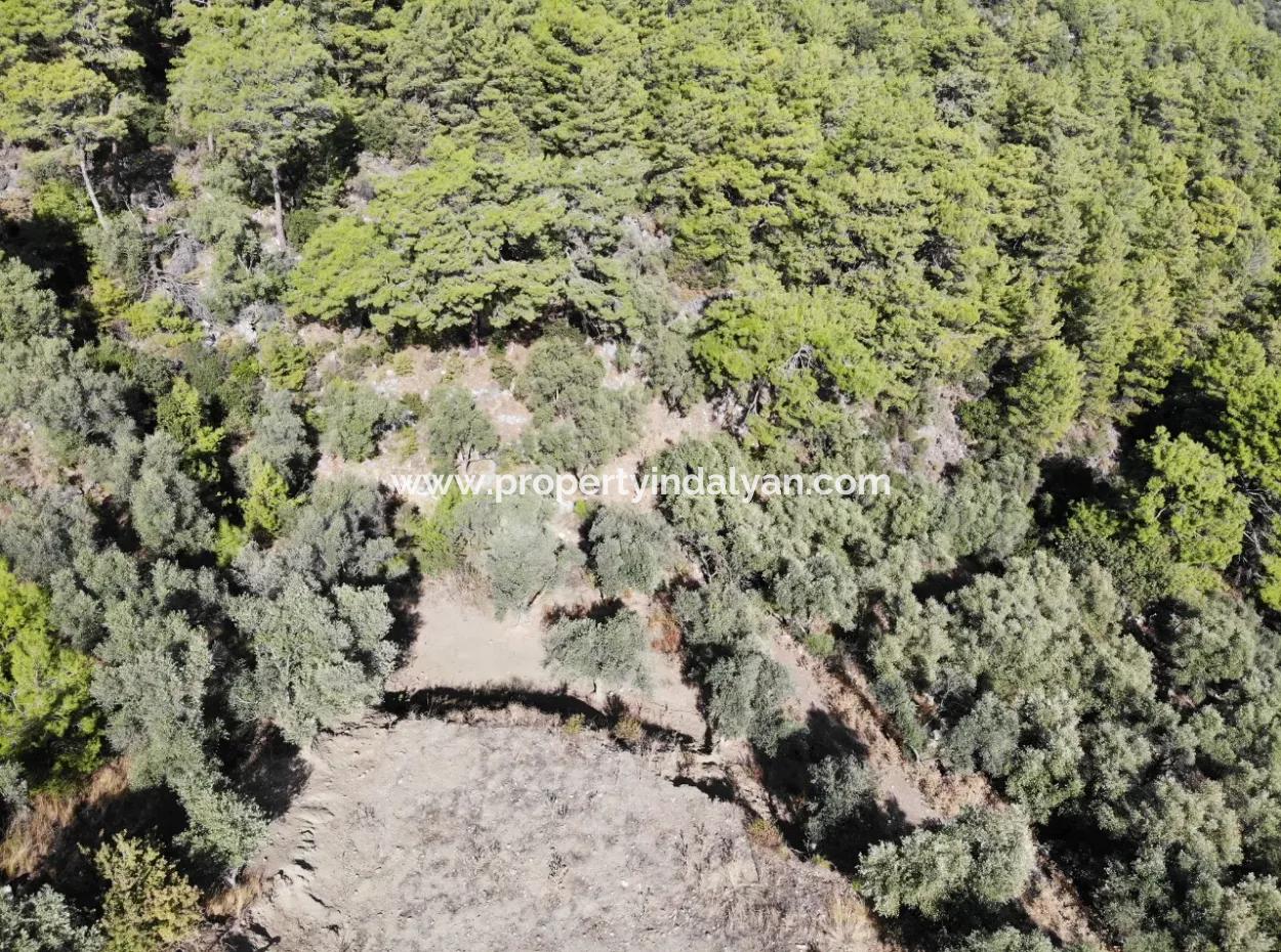 Sarıgerme De 403 M2 Arsa Satılık